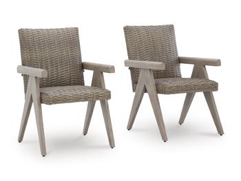 Cliff Trails Outdoor Arm Chair (Set of 2)