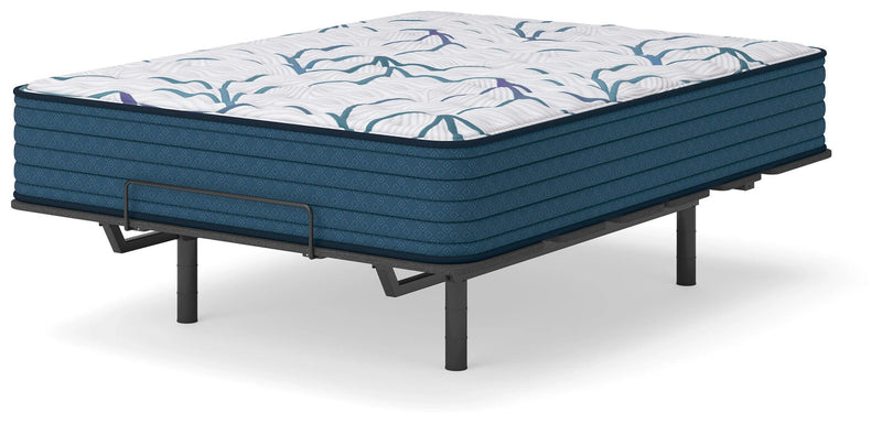 Limited Edition Firm 3.0 Mattress